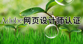 Adobe新网页设计师认证班