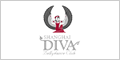 DIVA中东舞蹈